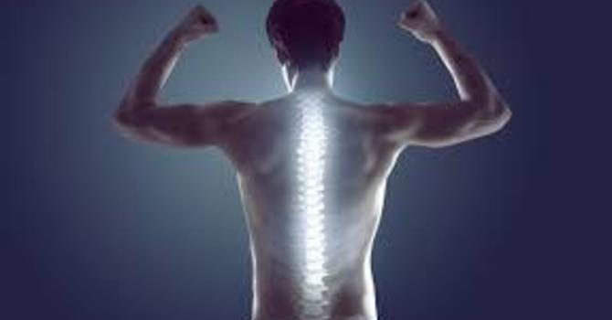 Your Guide to Low Back Pain image