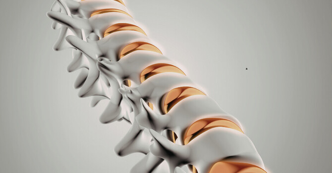 What 'Degenerative Disc Disease' Actually Means (And Why the Way You Heard It Is Keeping You Stuck)
